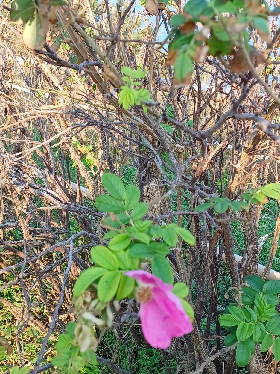 20221023%EF%BC%BF081023.jpg?type=w1