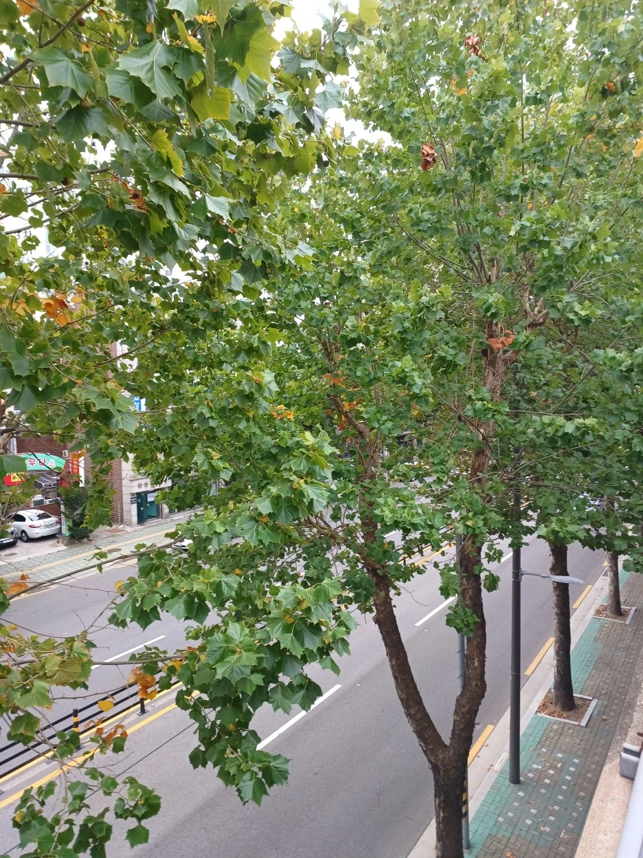 20221002_131738.jpg?type=w1