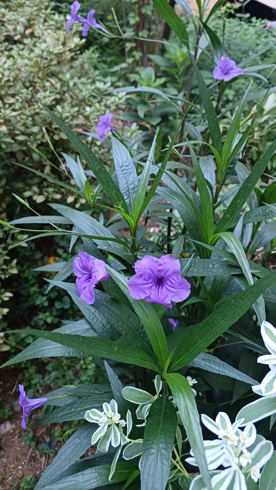 20220818%EF%BC%BF063105.jpg?type=w1