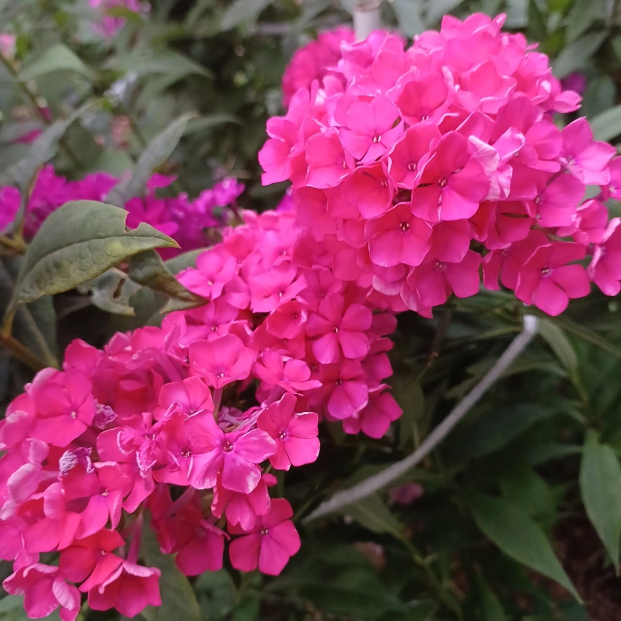 20220719%EF%BC%BF183335.jpg?type=w1