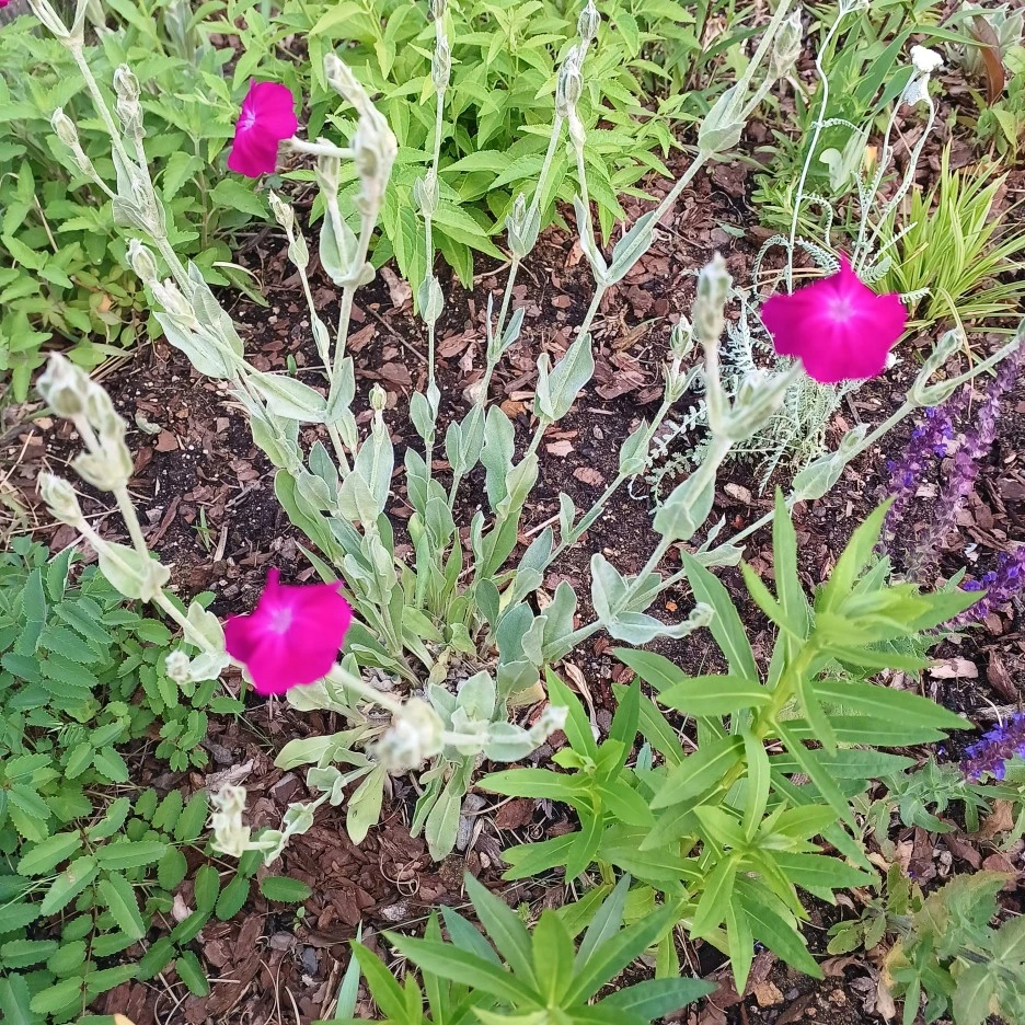 20220520_183827.jpg?type=w1