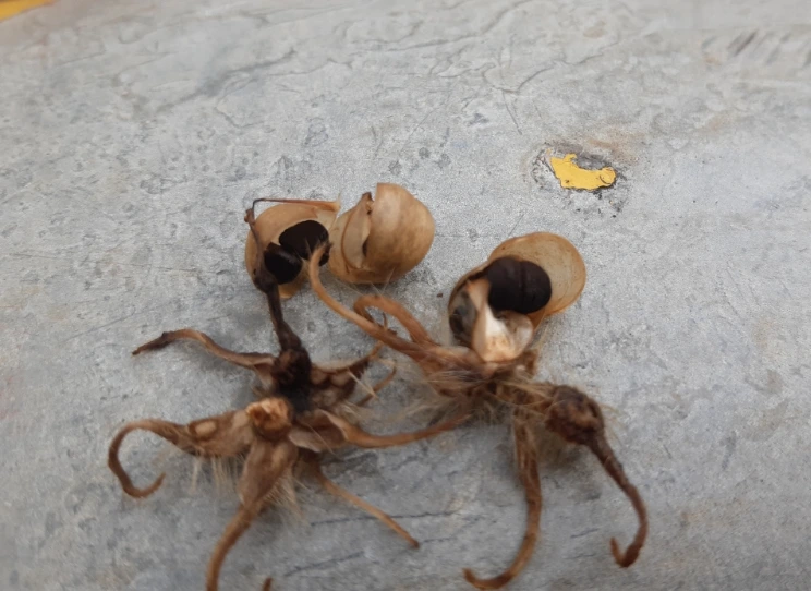 SE-953716c9-acbb-11ec-855c-514c41a05cc3.jpg?type=w1