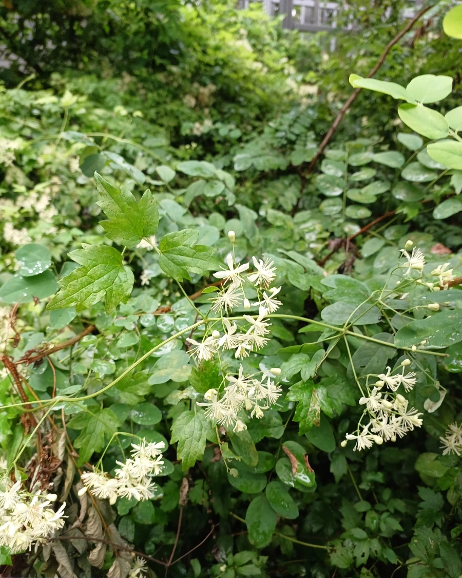 SE-1d14fc55-2768-11ed-a033-5957346b74cc.jpg?type=w1