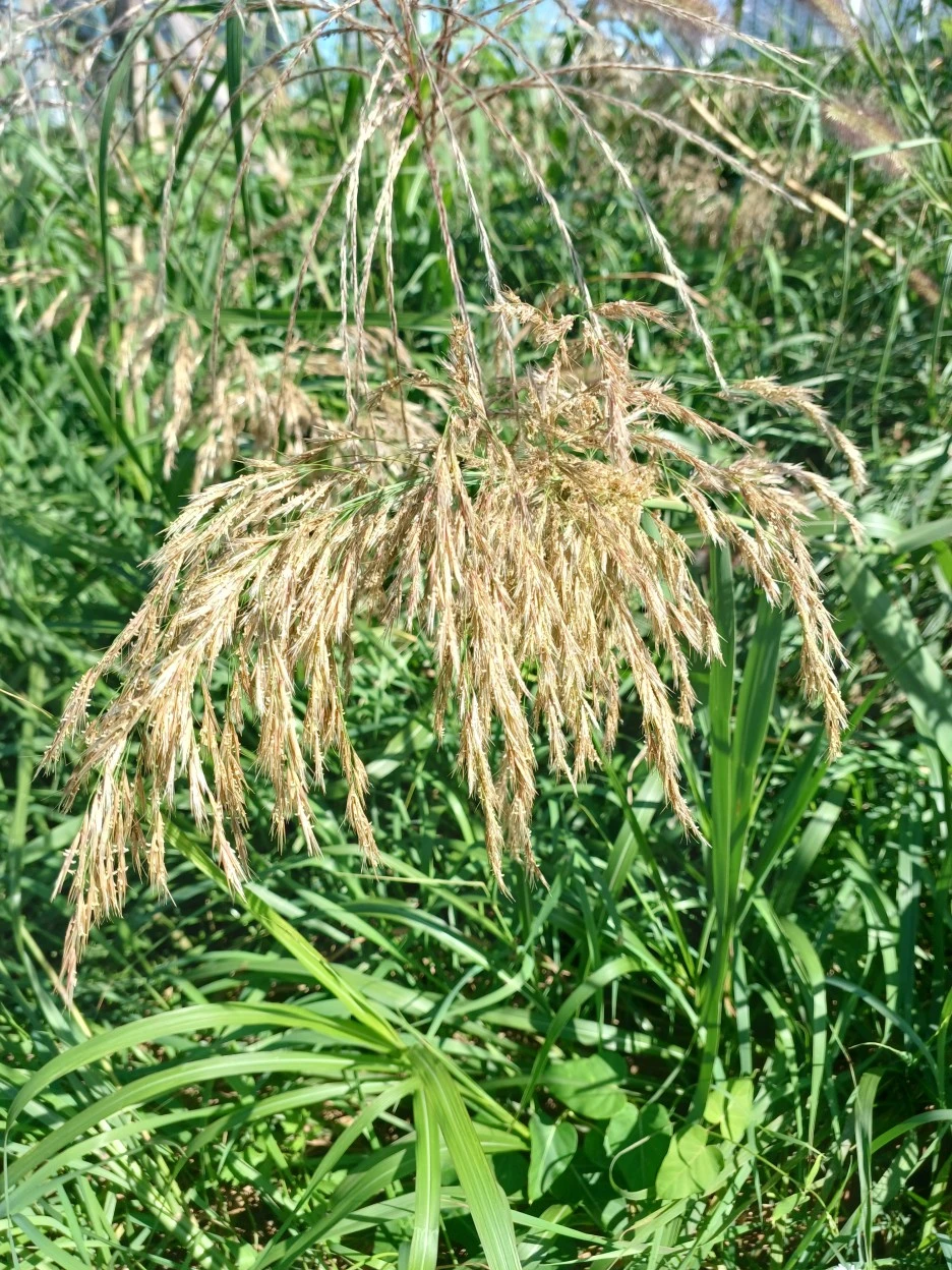 20220924_143433.jpg?typew1