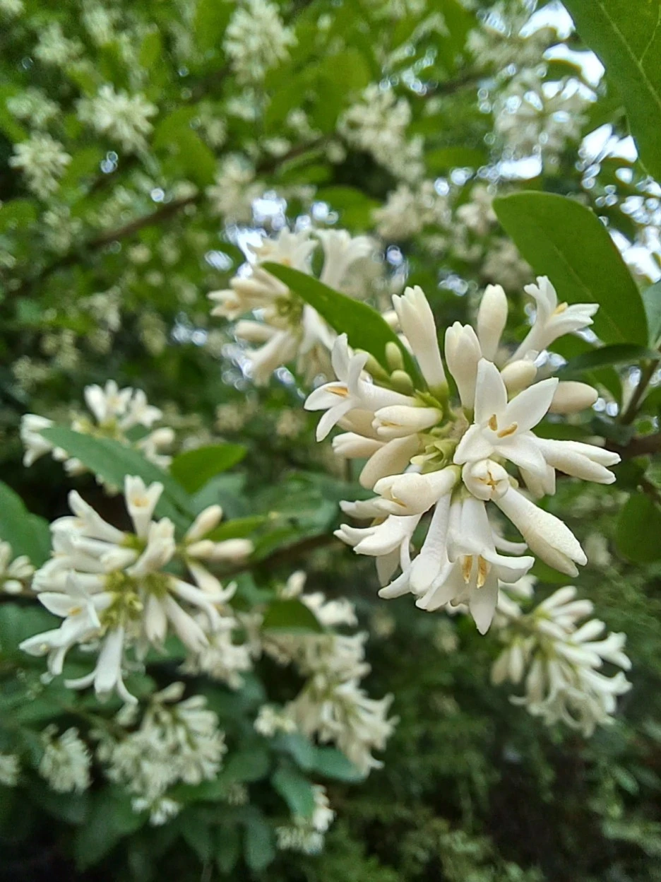 20230520%EF%BC%BF064138.jpg?type=w1