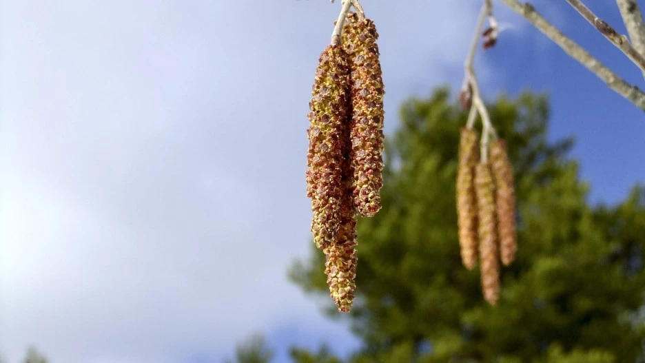 hd-wallpaper-5016674_1920.jpg?type=w1