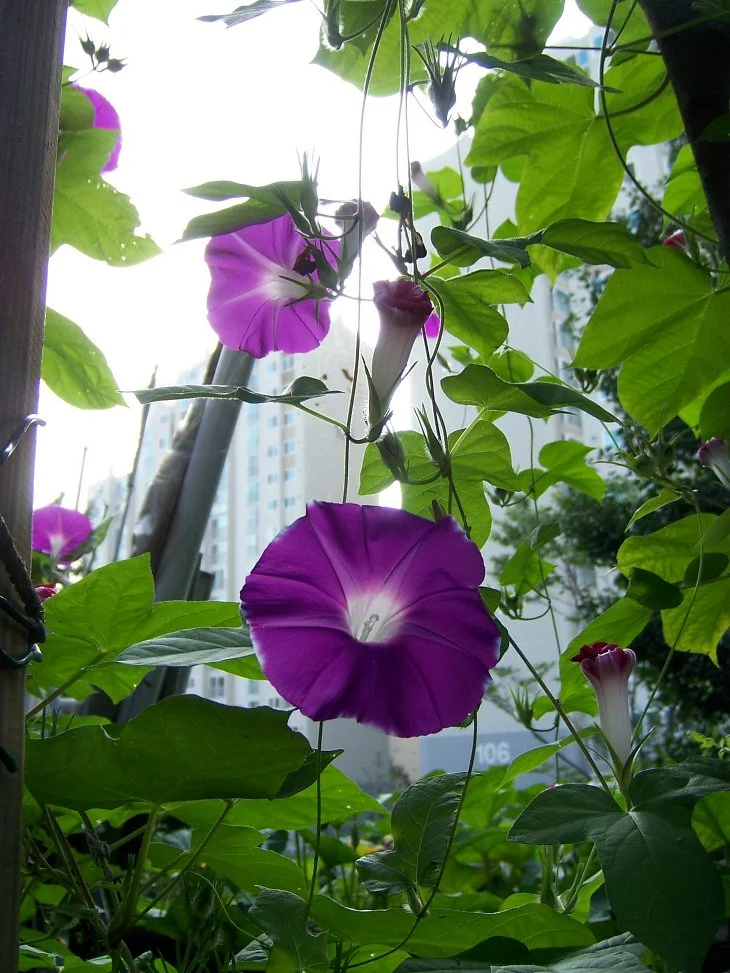 result_2006_7_3_11_53_28_859_30-lysook7.jpg?type=w1