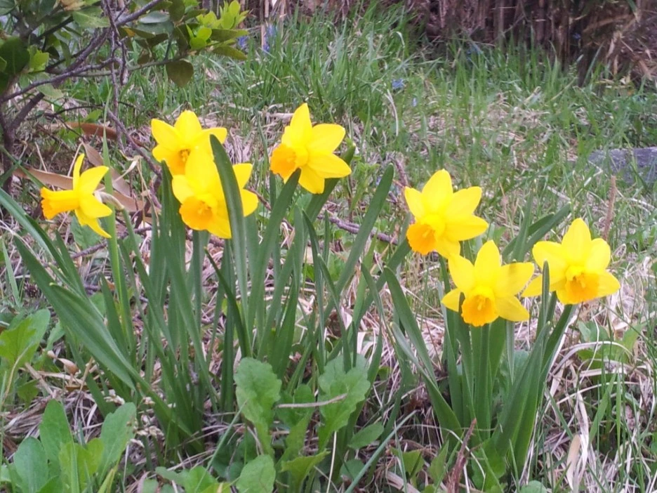 %EC%88%98%EC%84%A0%ED%99%94.jpg?type=w1