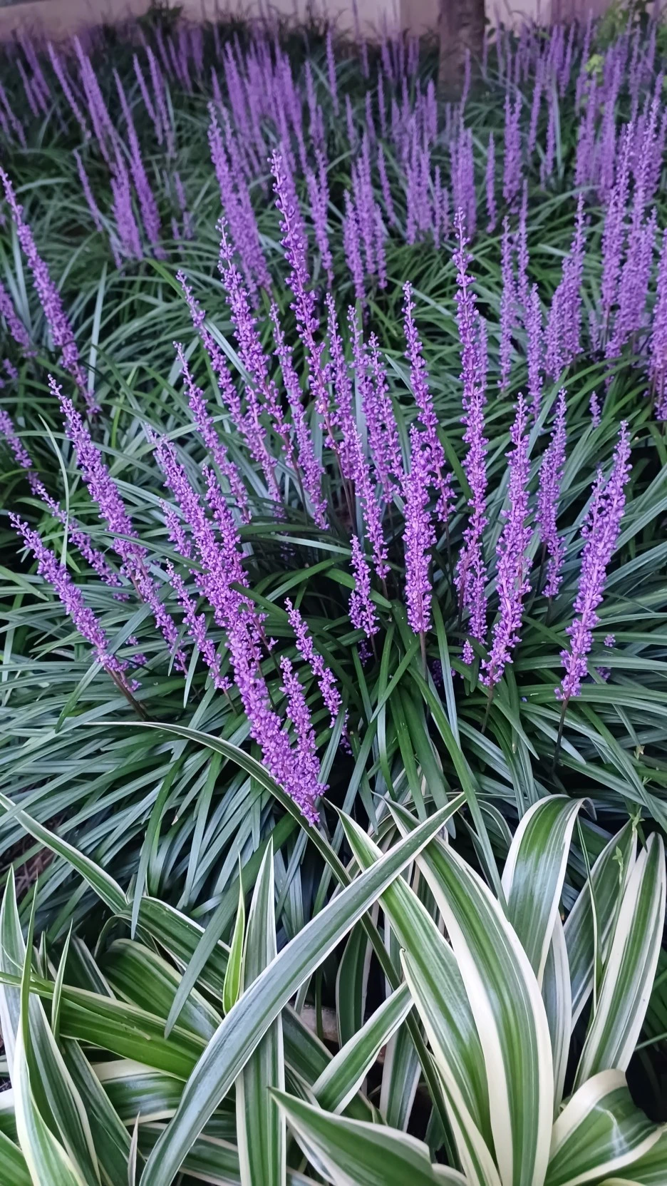 20220817_191653.jpg?type=w1