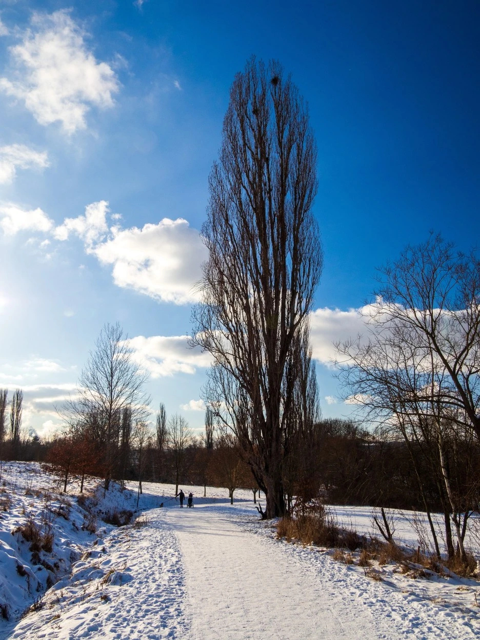 czechia-6013789_1920.jpg?type=w1