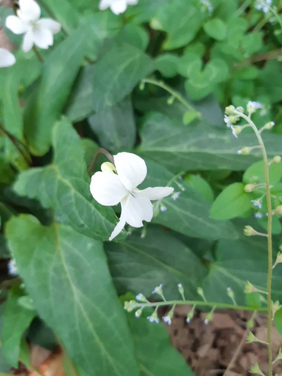 20220422_130640.jpg?type=w1