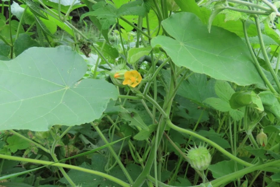 IMG_0856.jpg?type=w1