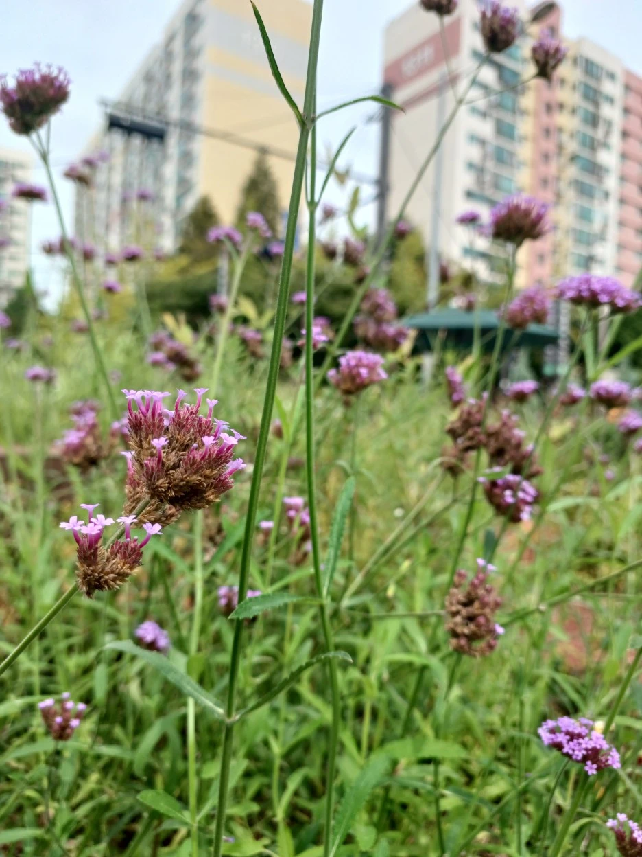 20220912_120636.jpg?type=w1