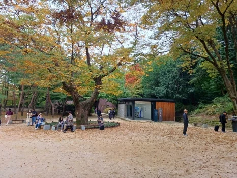 20241027_130703.jpg?type=w466