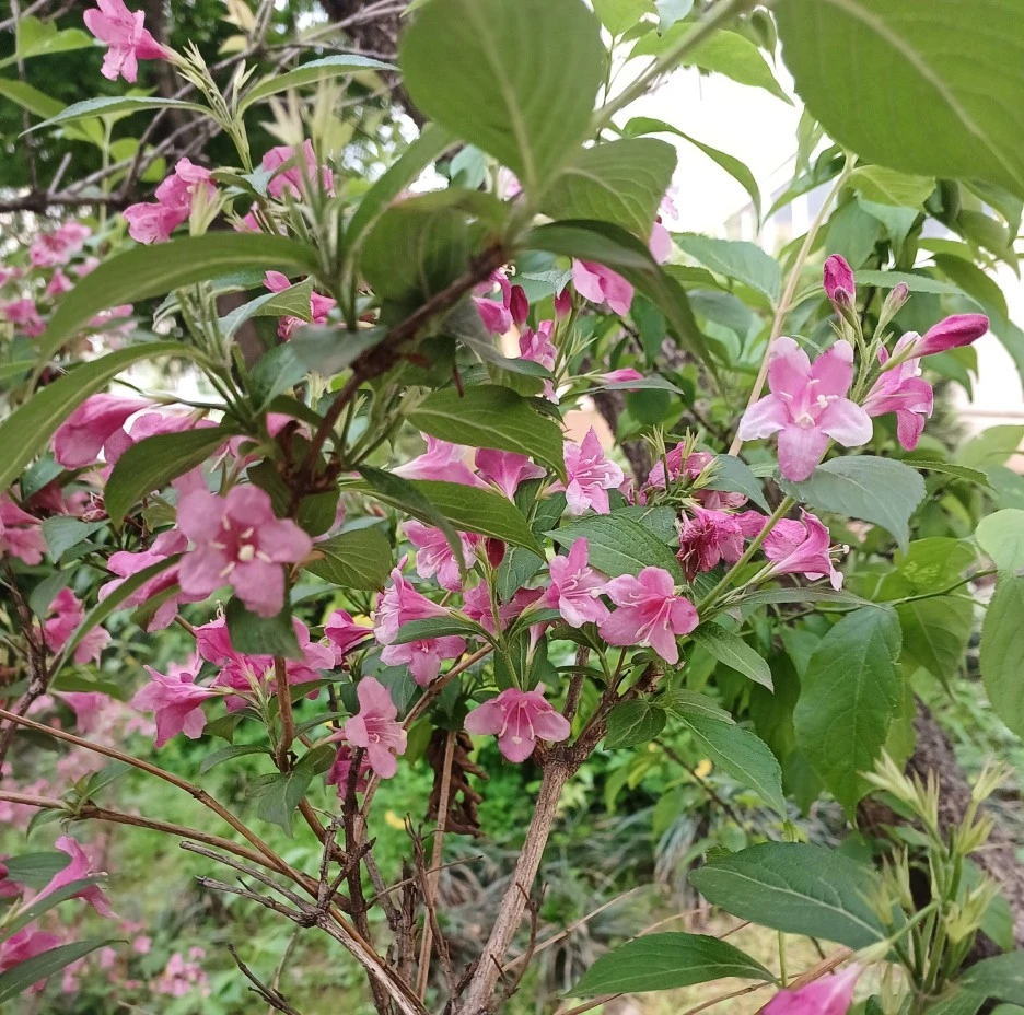 SE-a669e9cf-ecc3-11ed-b70d-41995edb26b5.jpg?type=w1