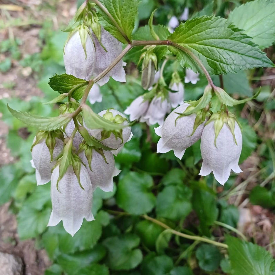 20220529_083155.jpg?type=w1