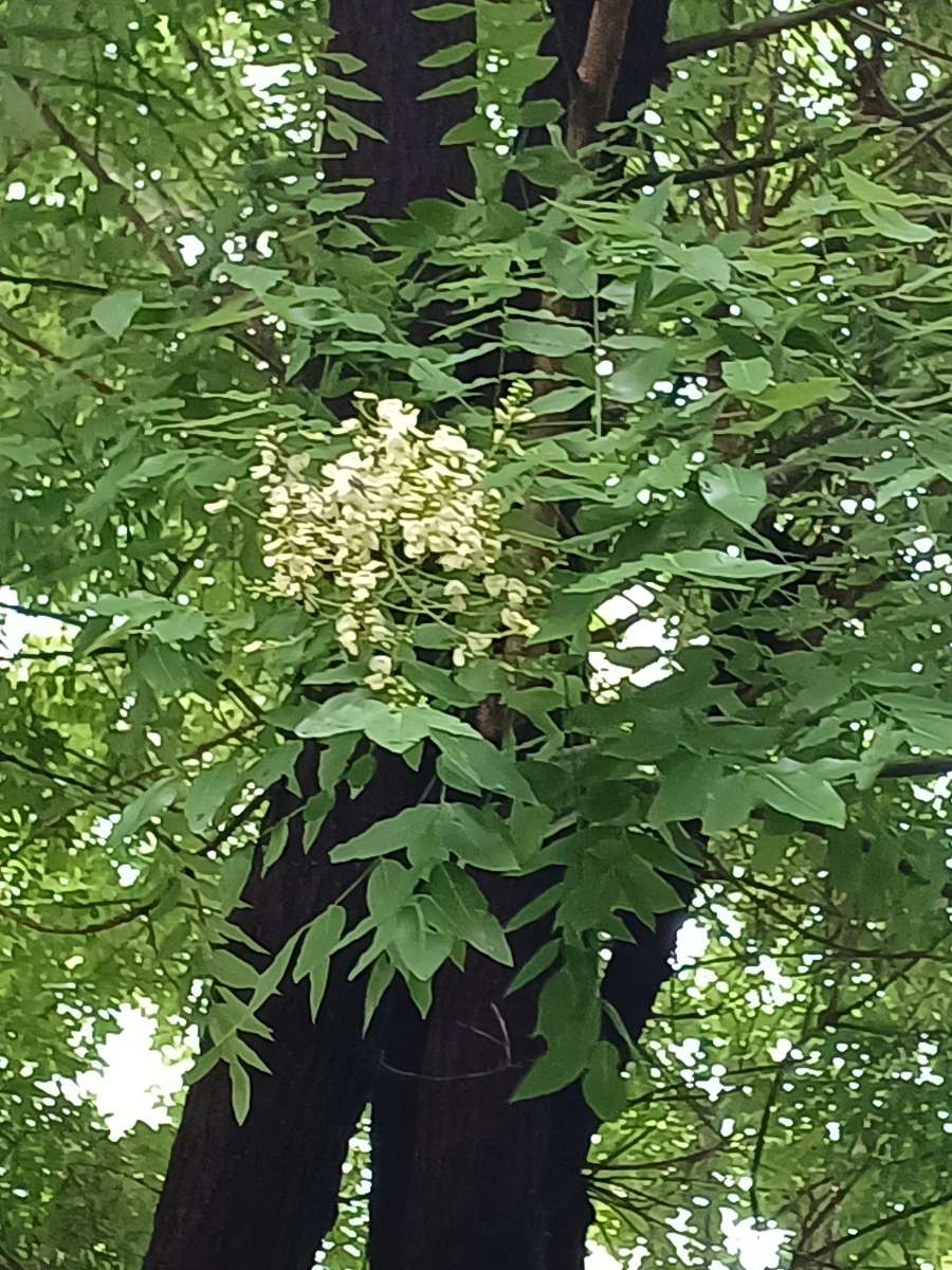 20220721%EF%BC%BF131439.jpg?type=w1