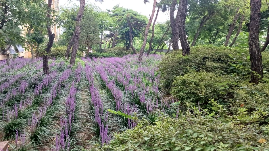 20220814_152046.jpg?type=w1