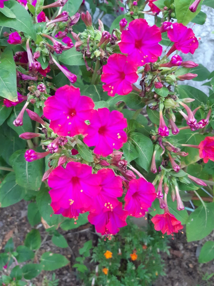 20210819%EF%BC%BF185416.jpg?type=w1