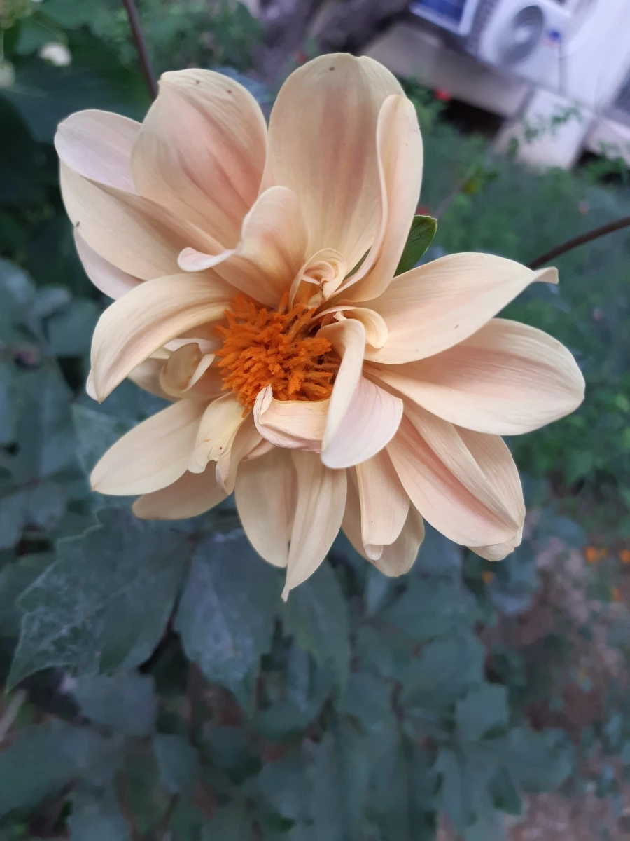 20210928%EF%BC%BF135514.jpg?type=w1