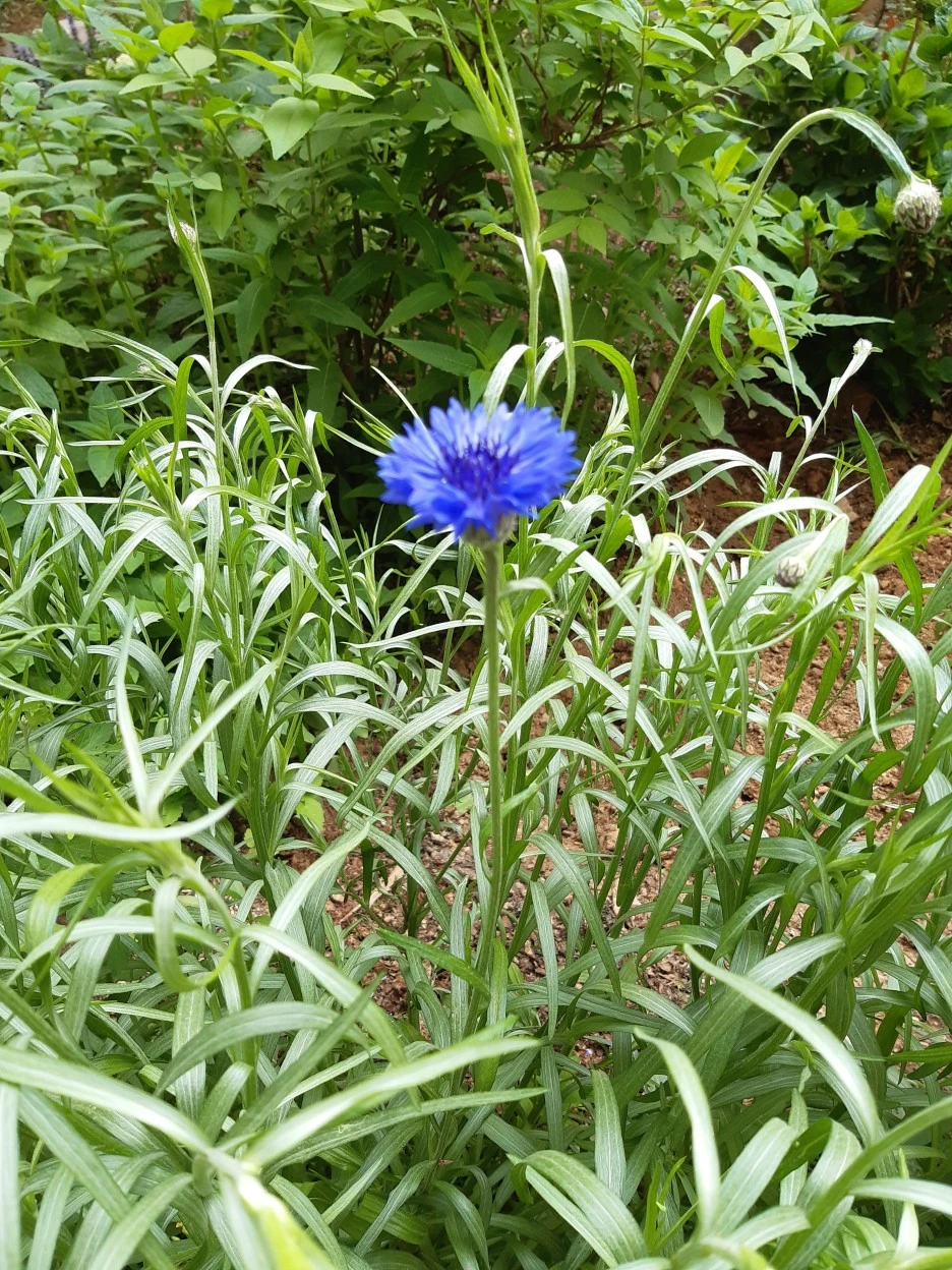 20210426_112714.jpg?type=w1