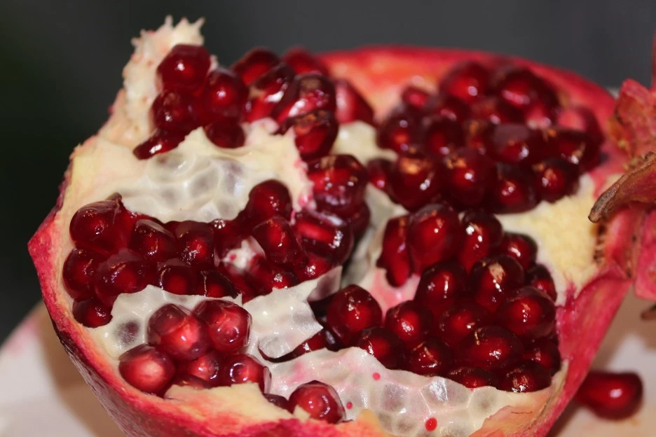 pomegranate-6908667_1920.jpg?typew1