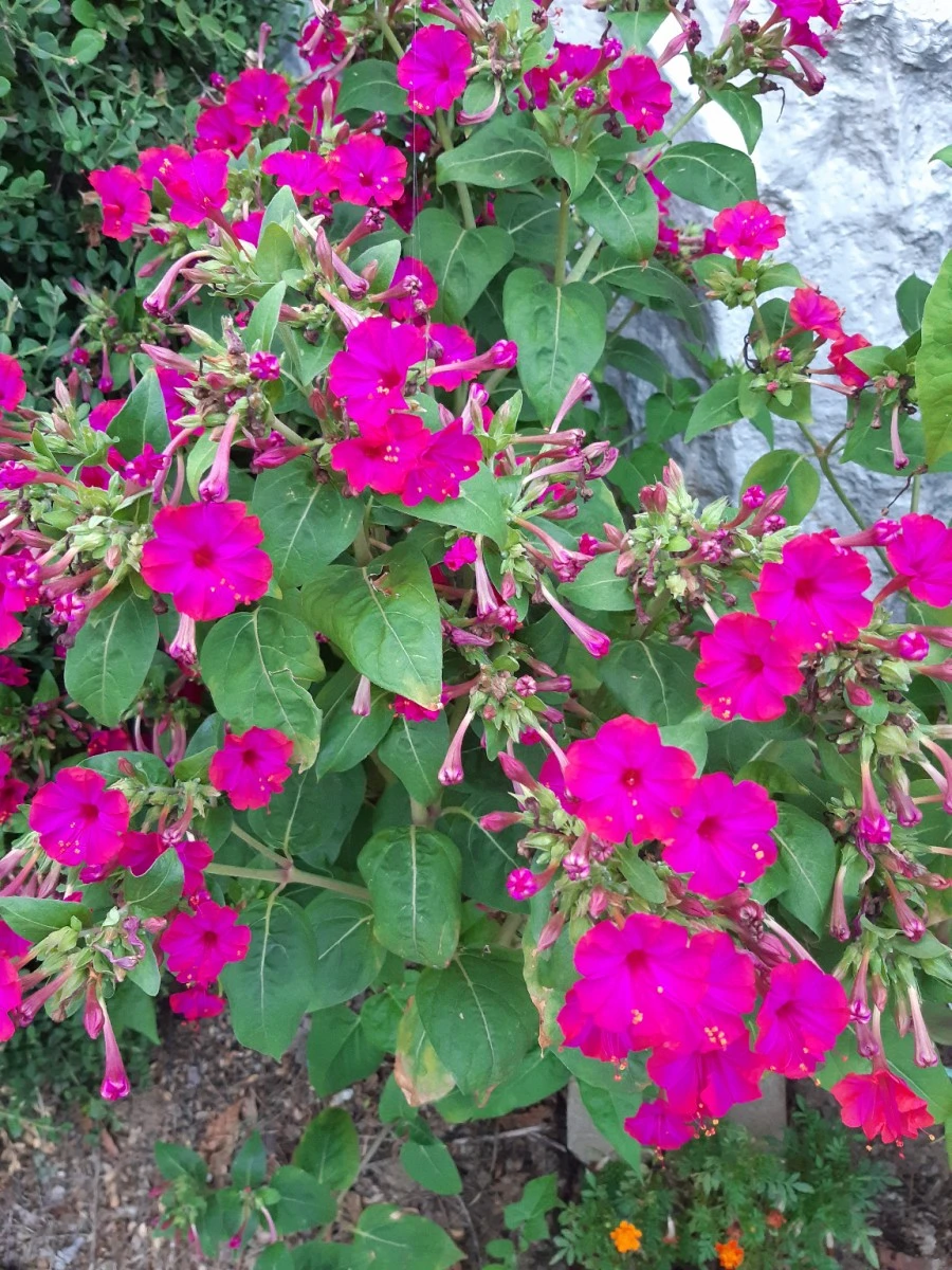 20210819%EF%BC%BF185412.jpg?type=w1