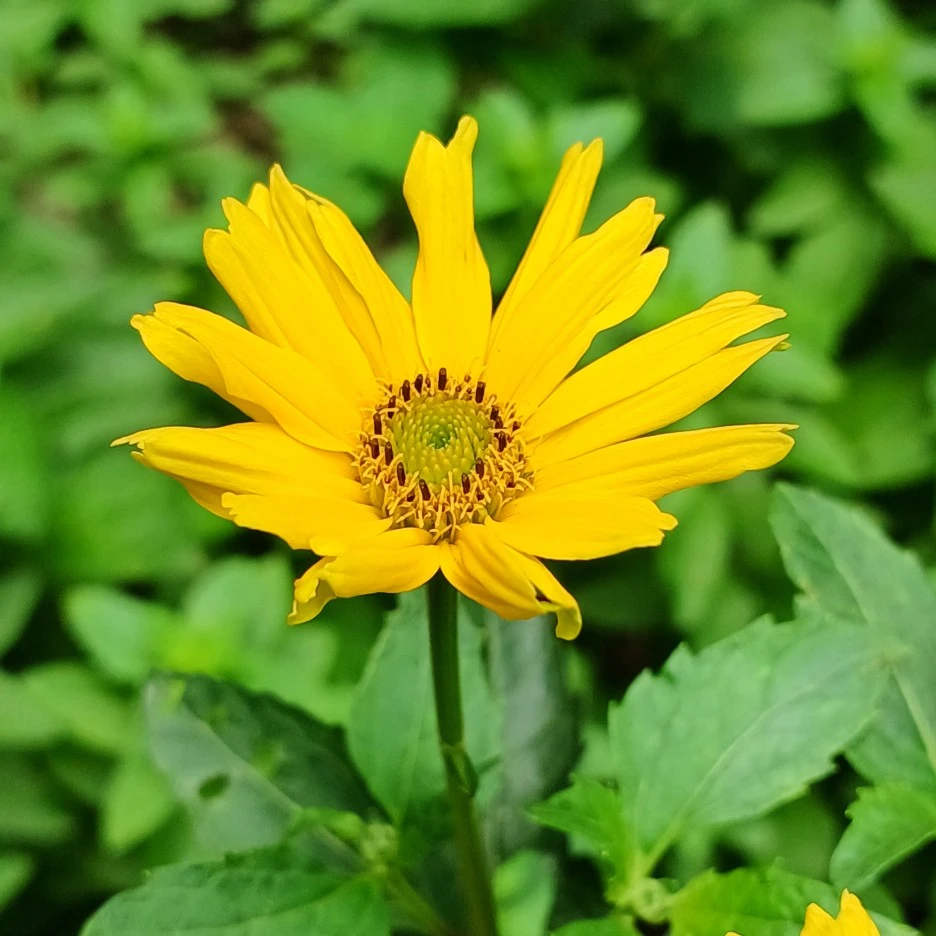 20220705_122956.jpg?type=w1