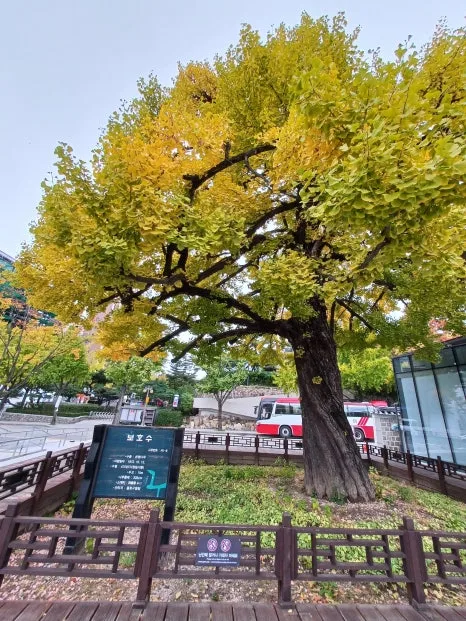 %EC%B0%BD%EB%8D%95%EA%B6%81_%ED%9B%84%EC%9B%90_%EC%9B%90%EC%84%9C%EA%B3%B5%EC%9B%90_(1)_(13).jpg?type=w466