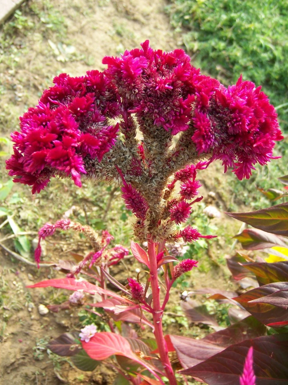 100_3058.jpg?type=w1