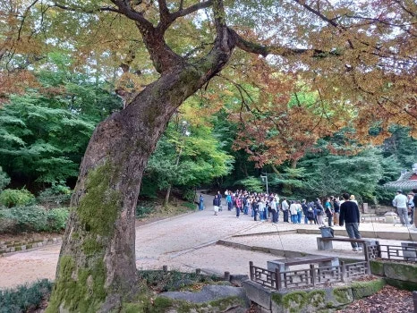 20241027_130706.jpg?type=w466