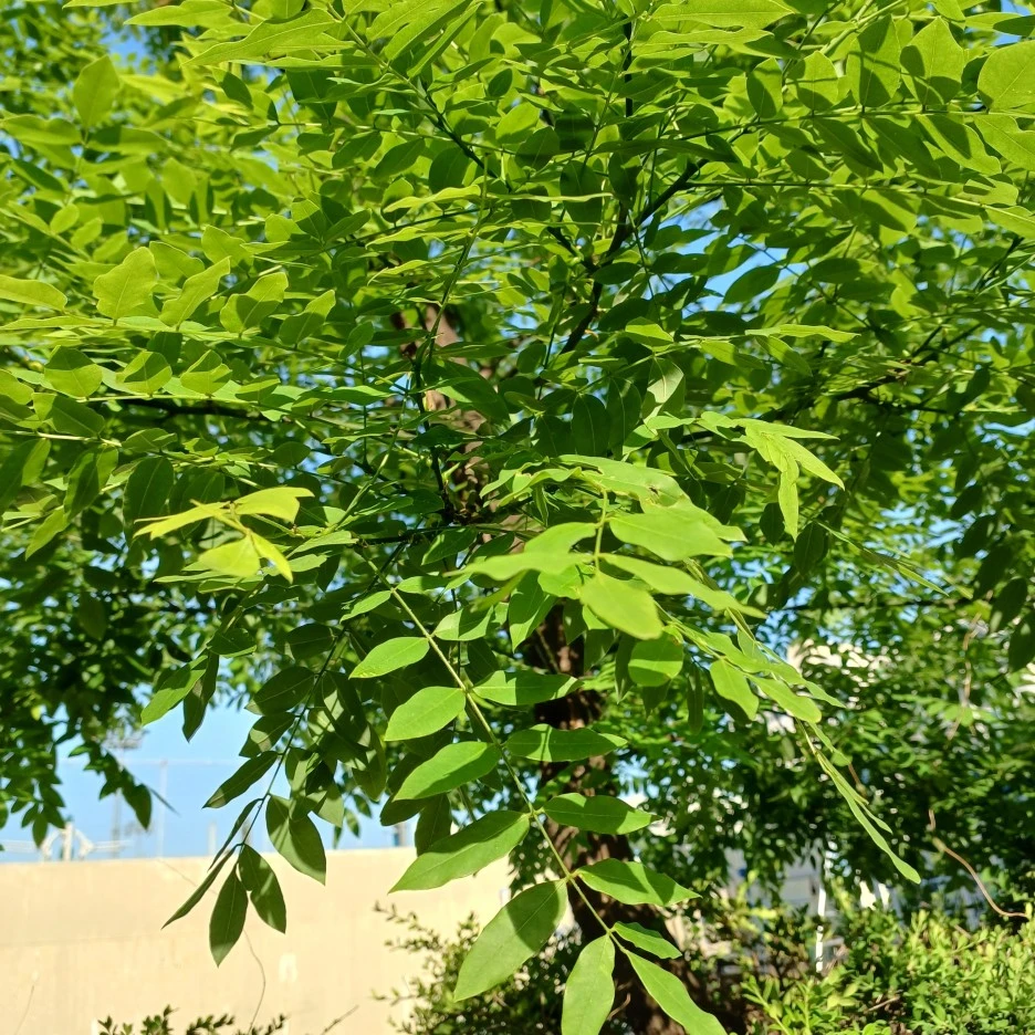 20220514_074134.jpg?typew1