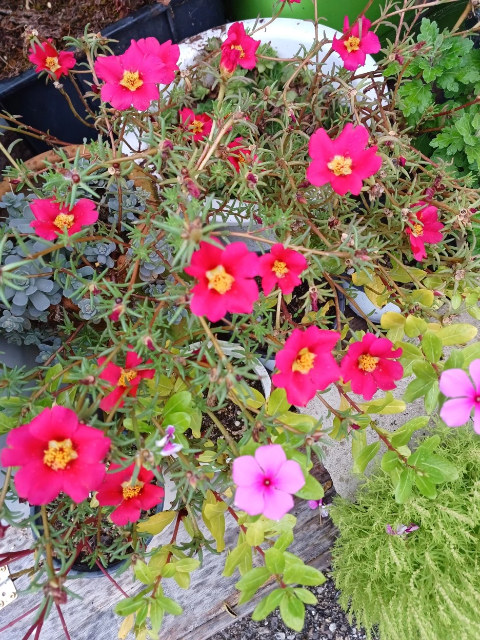 20220903_123752.jpg?type=w1