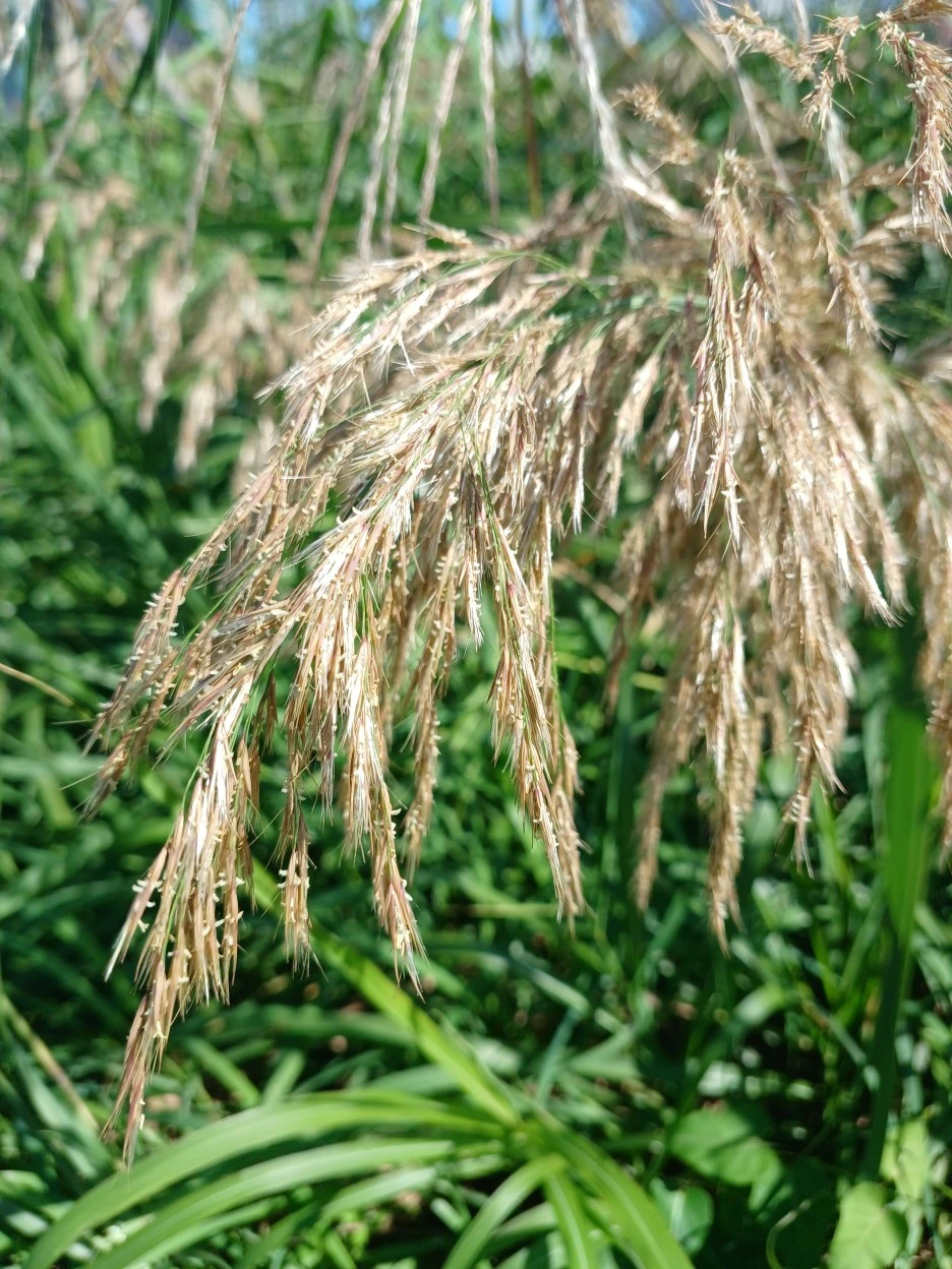 20220924_143440.jpg?typew1