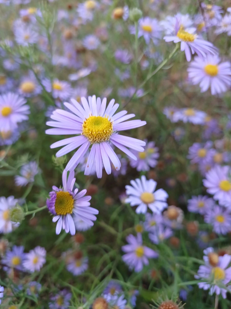 20221023_171738.jpg?type=w1