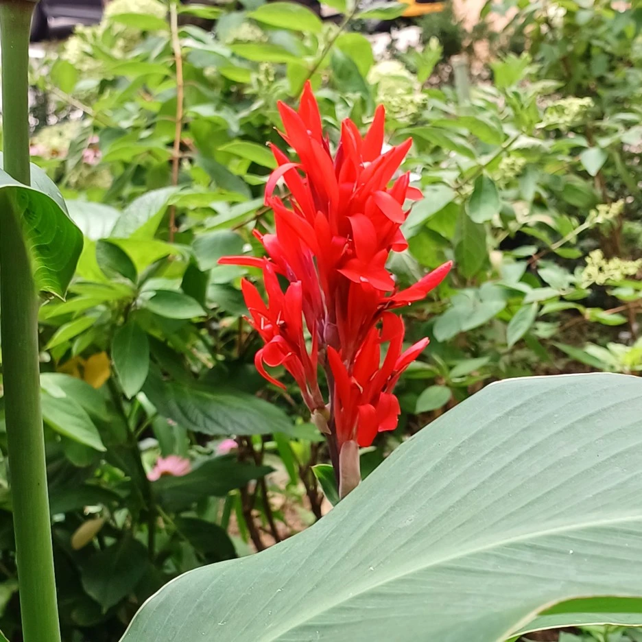 20220705_123003.jpg?type=w1