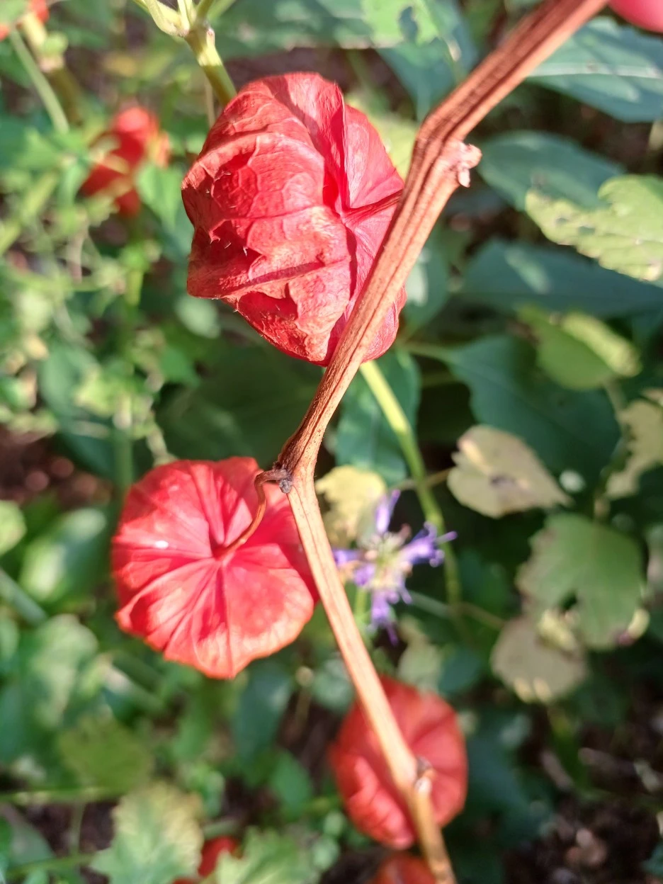 20220930_154642.jpg?typew1