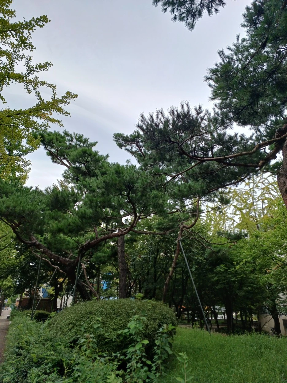 20220829_145209.jpg?type=w1