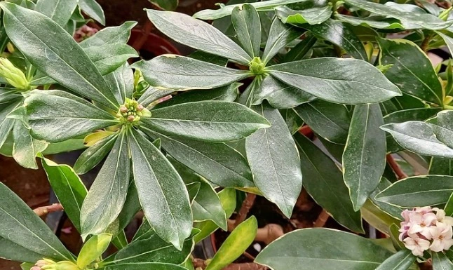 %EC%9B%B9_%EC%BA%A1%EC%B2%98_13-12-2022_15457_blog.naver.com.jpeg?type=w1