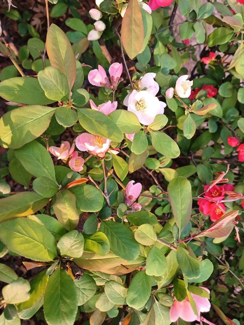 20230402_070921.jpg?type=w1