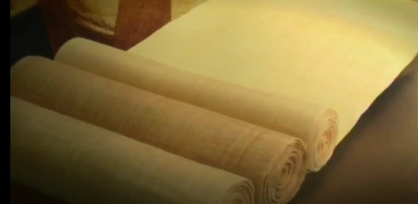 웹 캡처_9-10-2022_921_terms.naver.com.jpeg