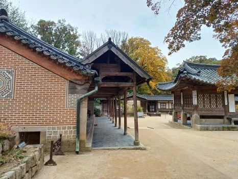 20241027_132255.jpg?type=w466