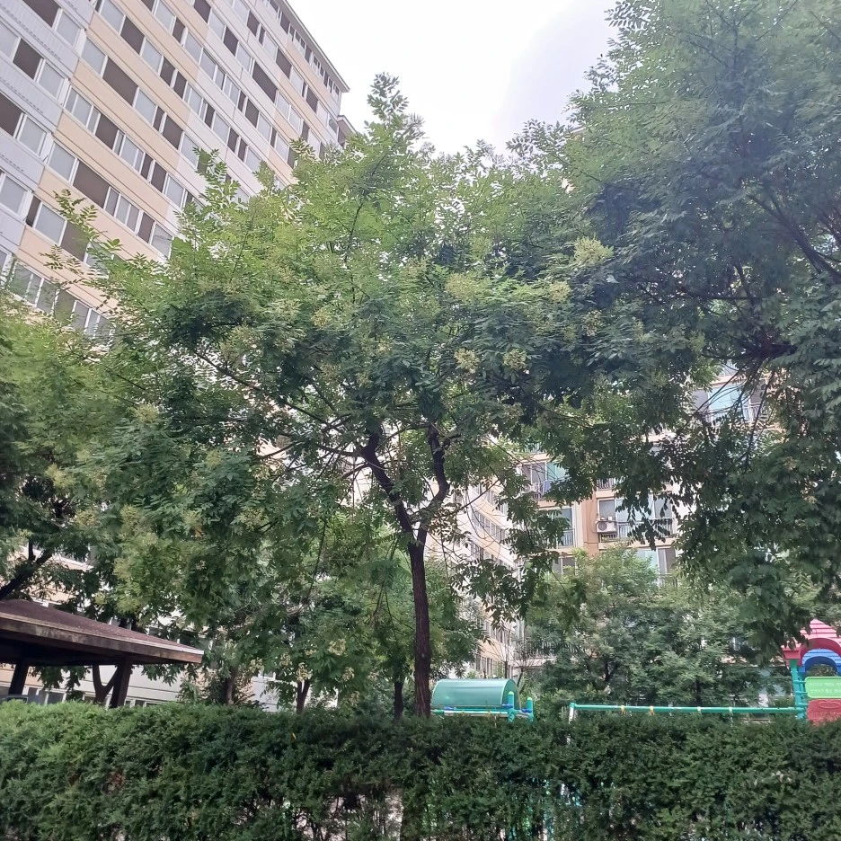 20220711_183407.jpg?type=w1