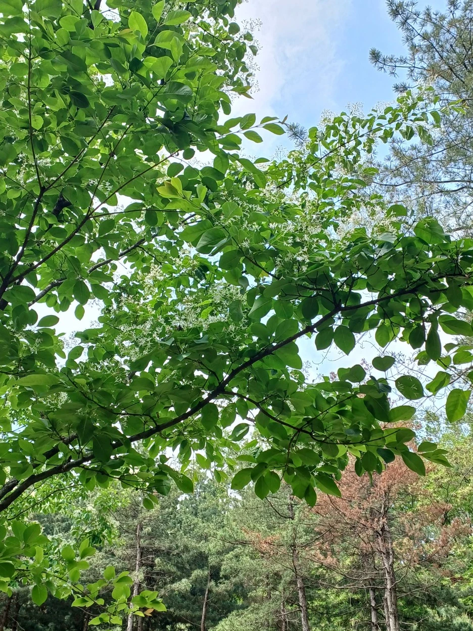 20230514_104155.jpg?type=w1