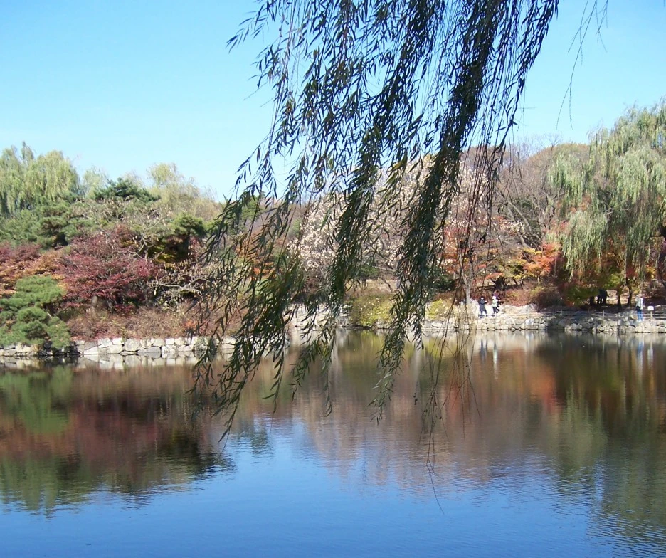 SE-6e29f3e4-0b4e-446f-b291-6e7b7982983a.jpg?type=w1