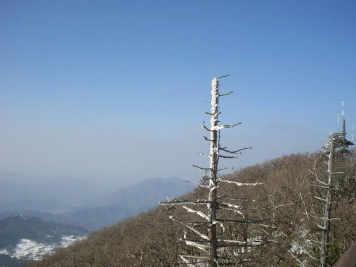 %EC%9B%B9_%EC%BA%A1%EC%B2%98_19-2-2022_122533_blog.daum.net.jpeg?type=w1