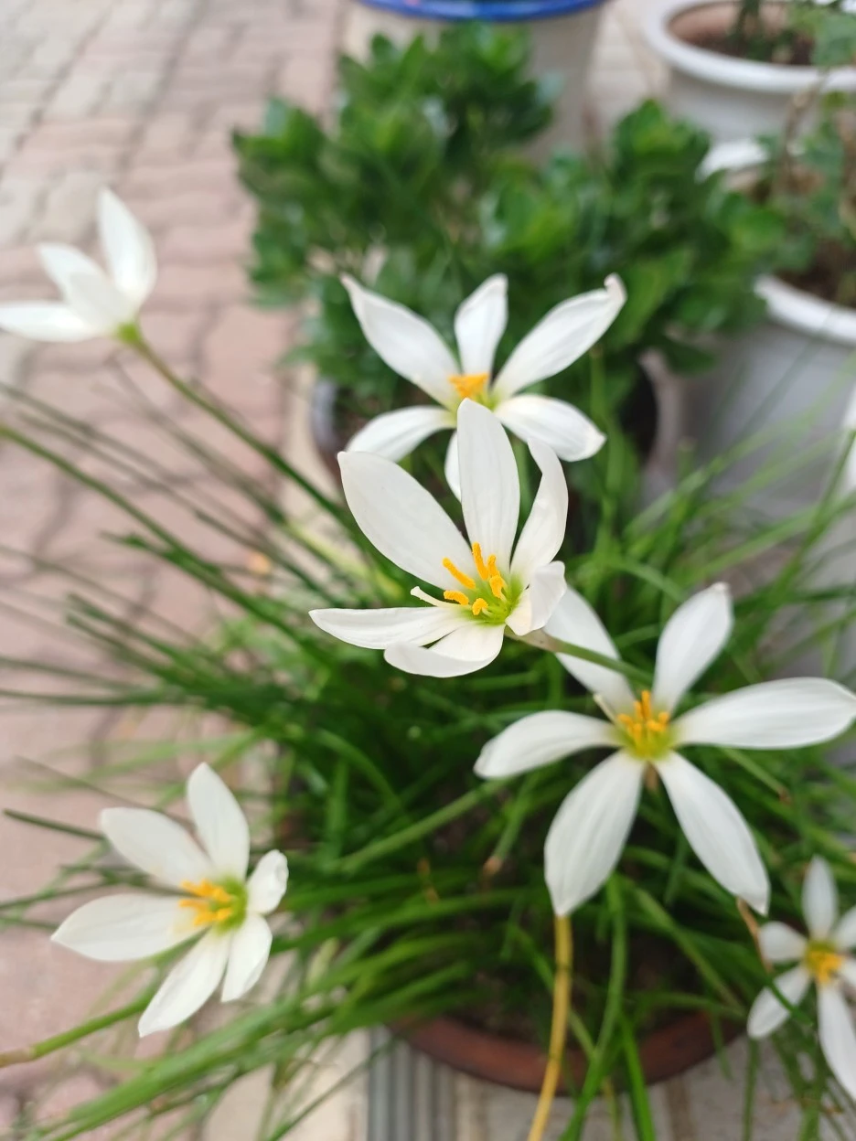 20220920_125306.jpg?typew1