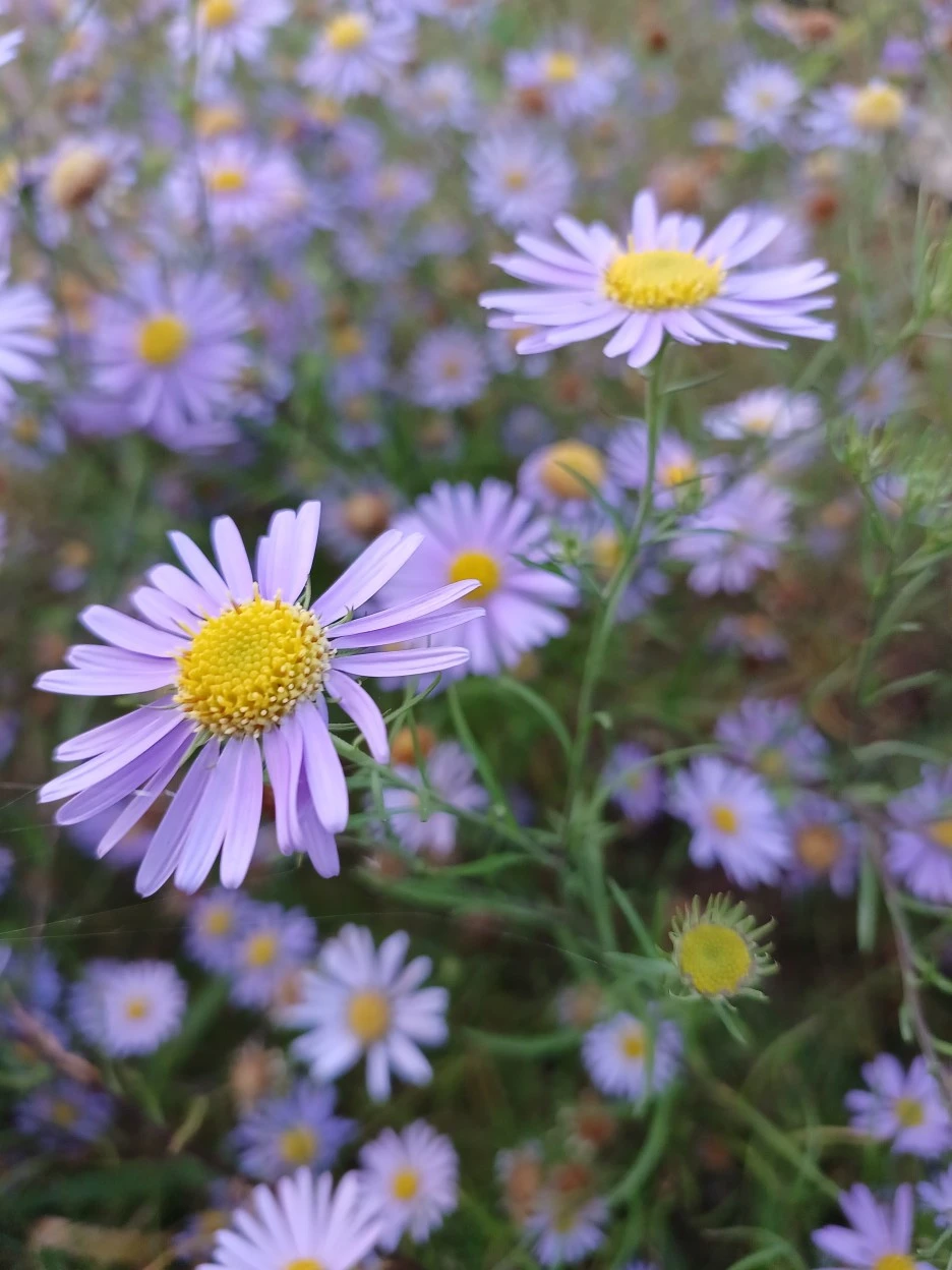 20221023_171733.jpg?type=w1