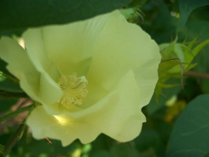 result_2006_8_6_12_2_6_328_21-lysook7.jpg?type=w1