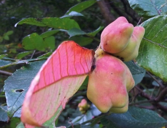 %EC%9B%B9_%EC%BA%A1%EC%B2%98_14-11-2022_132212_blog.naver.com.jpeg?type=w1